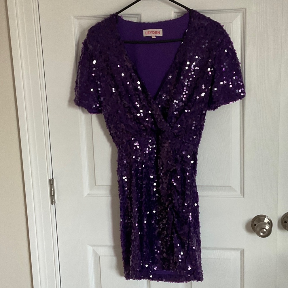 Leyden Sparkling Purple Dress